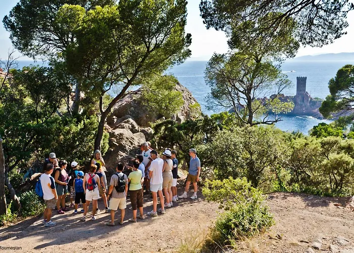 Kompleks wypoczynkowy Sowell Residences Chenes Verts Saint-Raphaël